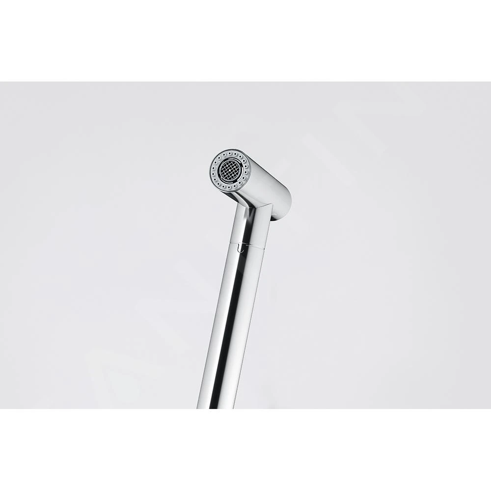 Franke Icon - Grifo De Fregadero FG 5188.031 Con Caño Extraíble, Cromo 115.0625.188 6 Franke Icon - Grifo De Fregadero FG 5188.031 Con Caño Extraíble, Cromo 115.0625.188 - Imagen 4