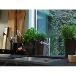 Franke Centro - Grifo De Fregadero FP 0098.031 Con Caño Extraíble, Cromo 115.0600.098 -Franke 6aa6c7ebef0754a113caefe0